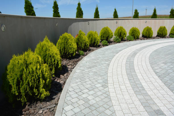 Reasons to Select Us for Your Driveway Paving Requirements in Rainier, WA